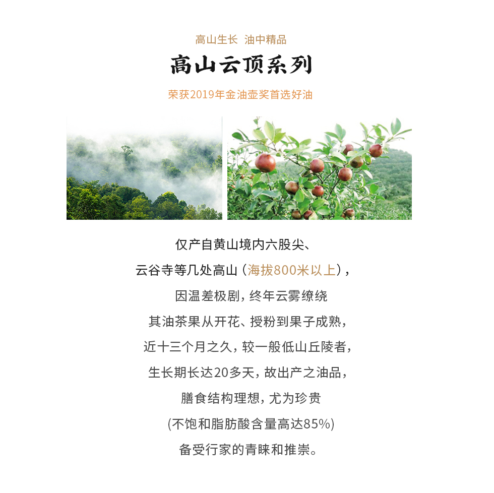 黄山高山云顶--改.jpg