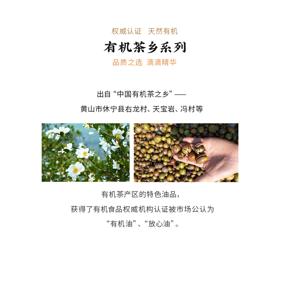 黄山有机茶乡--改.jpg