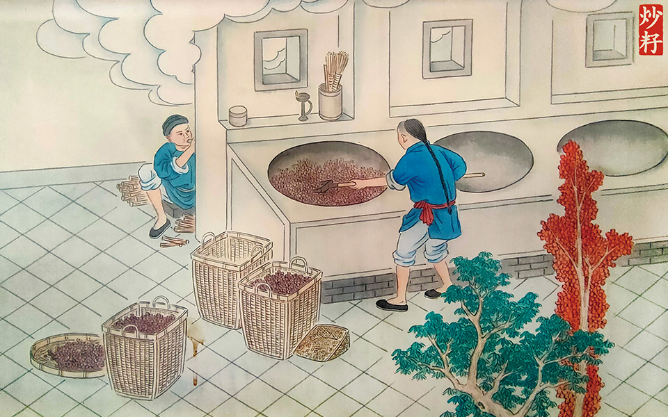 炒制.jpg